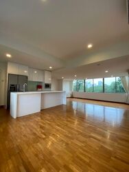 Nassim Regency (D10), Condominium #575020141